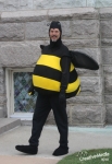 25260.jpg