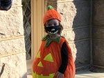 IMG_3894.jpg